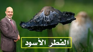 الفطر الأسود حلقة غاية فى الأهمية  برنامج الطب الأمن مع الدكتور أمير صالح