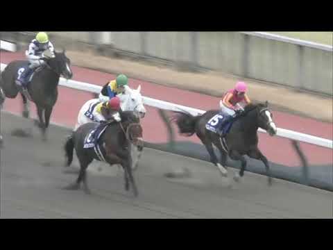 2022.02.20 February Stakes (JPN) - Cafe Pharoah