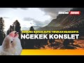 MASTERING LOVEBIRD NGEKEK NADA LELAH AGAR CEPAT KONSLET