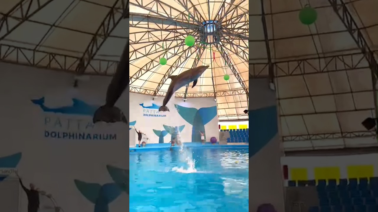 YouTube Short thumbnail