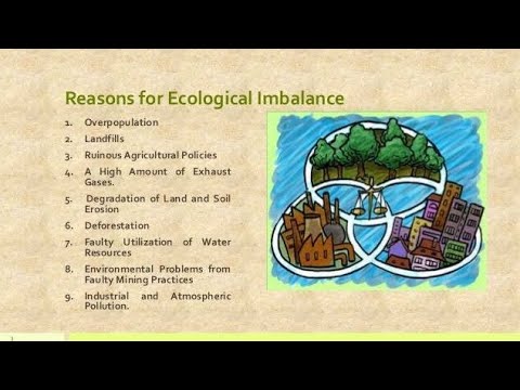 Ecosystem and Ecological Imbalance