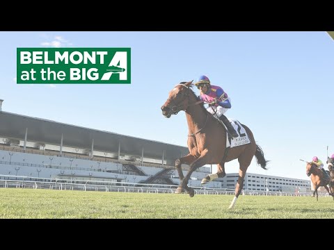 Talking Horses - October 22, 2025