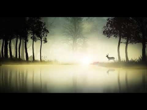 VARNELĖ   Gintarė Jautakaitė