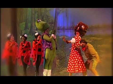 Dona Coruja - Festa na Floresta