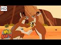 Desert Creatures | Kangaroos, Lizards, Snakes + more! [Full Episodes] Wild Kratts