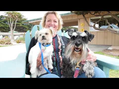 The Cambria Shores Inn