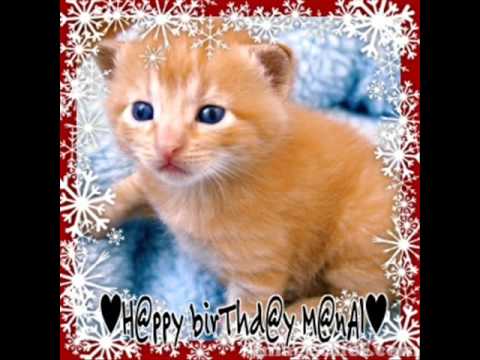 Everyone wishes you a happy New Year Manal