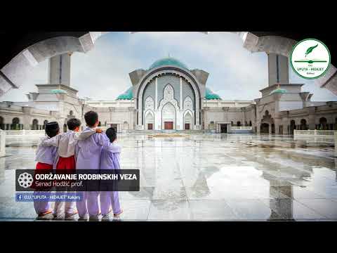 ODRŽAVANJE RODBINSKIH VEZA   Senad Hodžić prof
