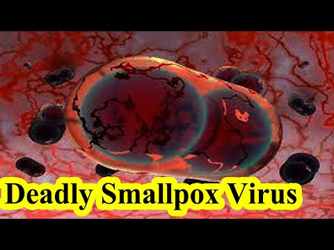 How we conquered the deadly smallpox virus
