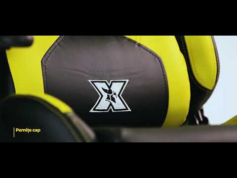 Scaun gaming SERIOUX Torin X-GC01-2D-B
