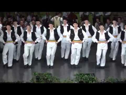 Ardelene - Aniversare Ansamblul Timisul - 2014