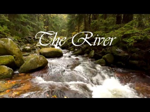 The River - Oliver Riz