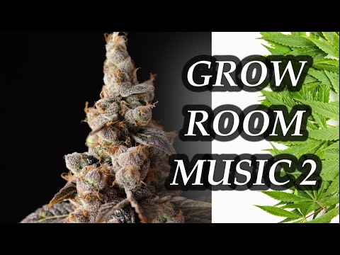 Music for Cannabis Grow 2 🌱 Plant Growth Music! (8hr) Grow Room Music!