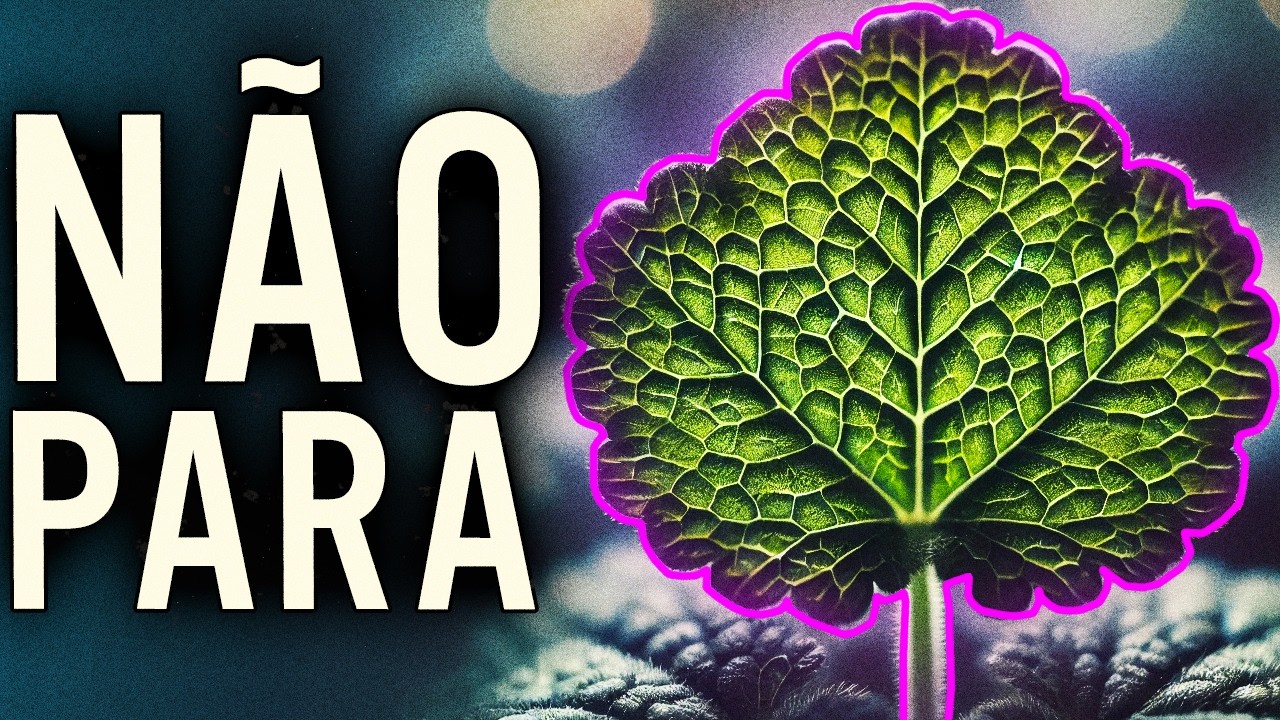 por que PLANTAS estão TREMENDO?