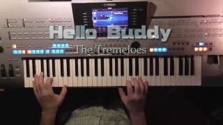 Hello Buddy - The Tremeloes, Instrumental-Cover, mit Titelbezogenem Style auf Tyros 4 eingespielt
