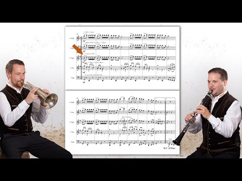 siEbner Musi - Wenn Musikanten verreisen...