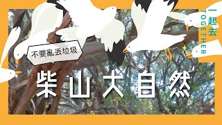 柴山大自然｜海蝕洞與老樹 Tzaishan Sea Cave
