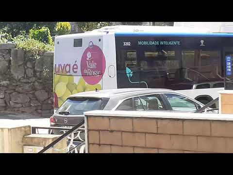 STCP Linha 805 Veículos 3202, 3211, 3299,