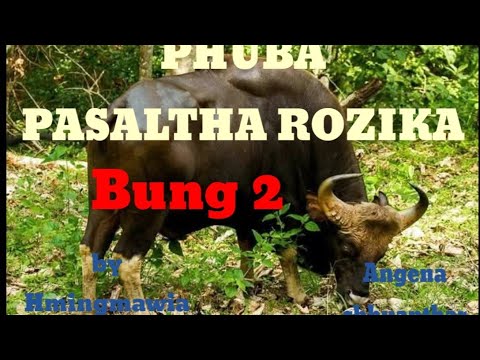 PHUBA PASALTHA ROZIKA 2