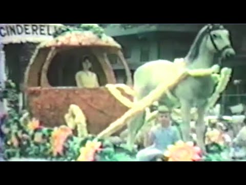 Video thumbnail for The Pet Parade