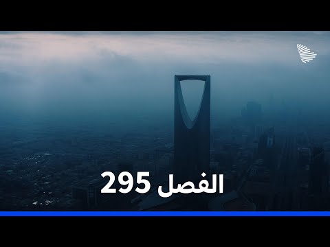 الفصل 295