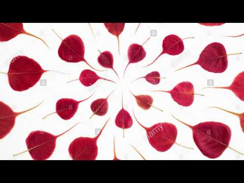 Yentha Sakkagunnaave Lyrical - Rangasthalam Songs | Ram Charan, Samantha, Devi Sri Prasad