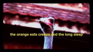 Field Guides - "A Song After Grace"