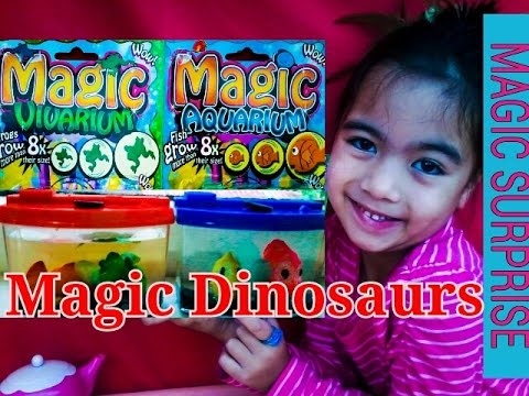 Watch Your Fish Grow !!! Magic Grow Aquarium Toy Dinosaurs Kids Balloons and Toys Video