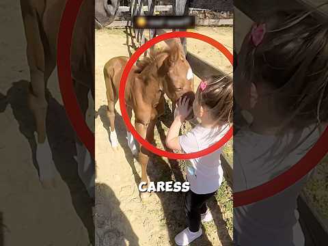 The incredible friendship between the baby horse 😨