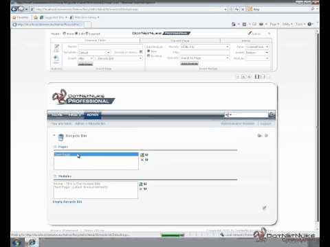 Using the DotNetNuke Recycle Bin