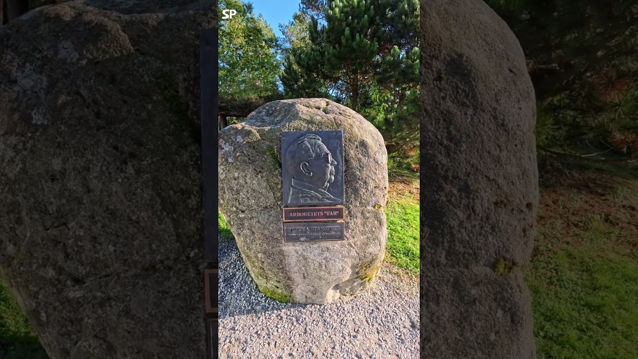 YouTube Short thumbnail