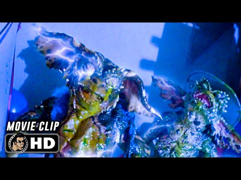 GREMLINS 2: THE NEW BATCH Clip - "Shocking" (1990)