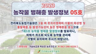 농작물 병해충 발생정보 05호 발표(2023.05.04~2023.06.07)