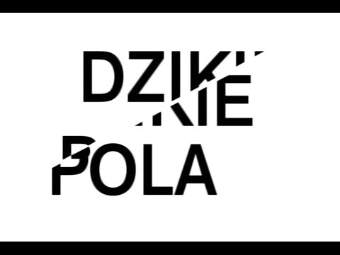 Dzikie pola. Historia awangardowego Wrocławia