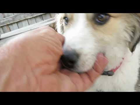 Ekaterini mit ihren Kids + Adoptivkids