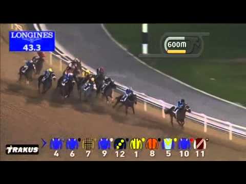 31.12.2014 Meydan (Dubai-UAE) 5.Race EGA Al Taweelah Trophy - Handicap  1.200 m