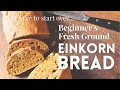 Beginner Whole Wheat Einkorn Bread | Einkorn Sourdough Bread | Fresh Ground Flour | Einkorn Baking