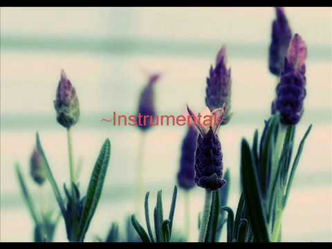 Mai Kuraki - Your Best Friend (Lyrics)