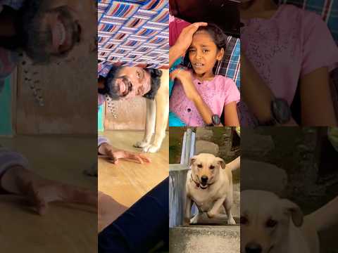 🥰Real Dog Love story-2❤️🥰watch till end❤️ #labrador #doglover #goldenretriever #doglove #puppies