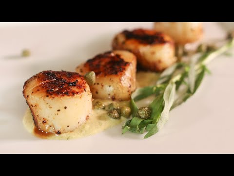 Scallops & Remoulade with Jody | recteq