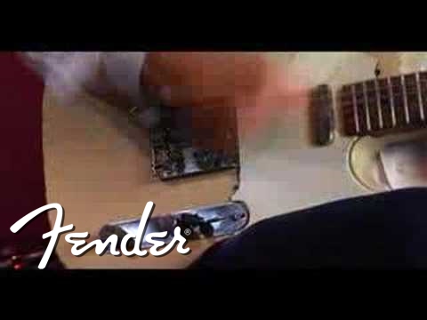 Jim Campilongo Fender Princeton Reverb Amplifier | Fender