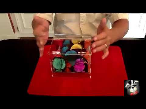 Millennium Clear Flower Casket -  Madhatter Magic Shop