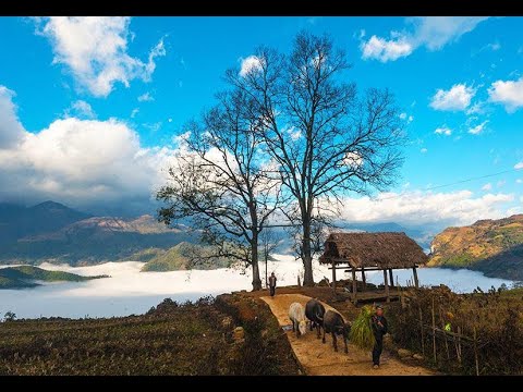 Trailer Yty Trail Maratona 2023