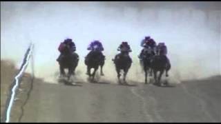 preview picture of video 'Longreach races 7/12/2002'
