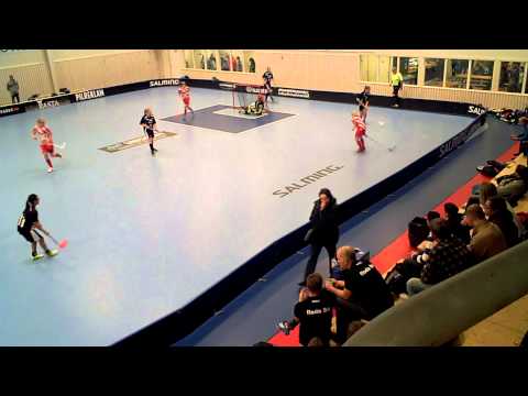 New Body 2013/2014 2013-11-23 Lindås IBK F99 - Pixbo Wallenstam IBF (2-0) PER1