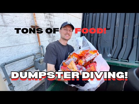 Dumpster Diving! We Found Snacks, Decor, & More!