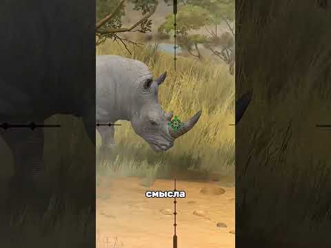 💰 ПОЧЕМУ РОГ НОСОРОГА ТАКОЙ ЦЕННЫЙ 🦏 #наука #интересно #животные