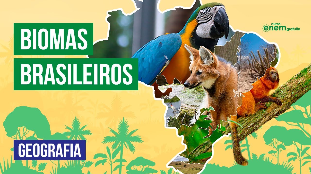 ZONAS DE TRANSIÇÃO DOS BIOMAS BRASILEIROS | Resumo de Geografia para o Enem | Raphael Carrieri