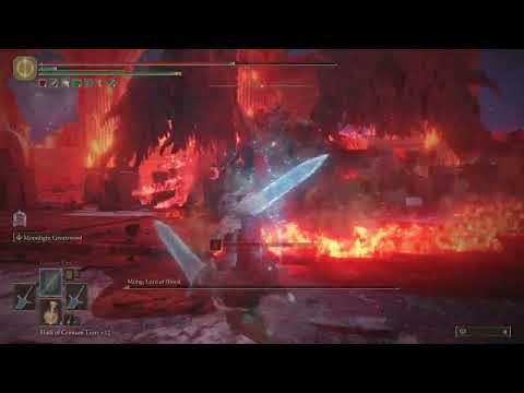 Elden Ring 1.08 - Mohg VS Dual Moonlight Swords OP!!