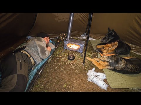 Winter Camping in a Snow-Covered Forest with a Heated Tent! - Rain Camping in Deep Snow with My Dogs